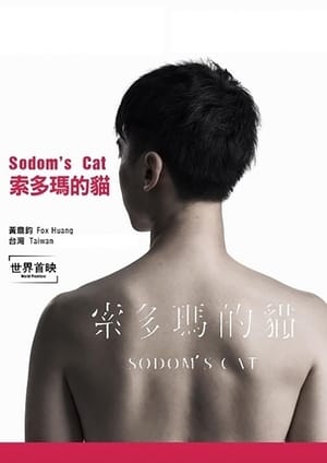 En dvd sur amazon 索多瑪的貓