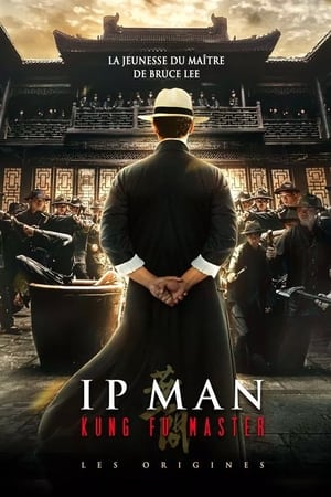 En dvd sur amazon Ip Man Kung Fu Master