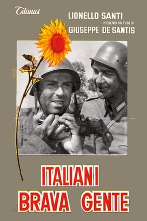 En dvd sur amazon Italiani brava gente