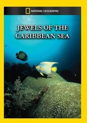 En dvd sur amazon Jewels of the Caribbean Sea