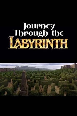 En dvd sur amazon Journey Through the Labyrinth