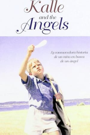 En dvd sur amazon Kalle och änglarna