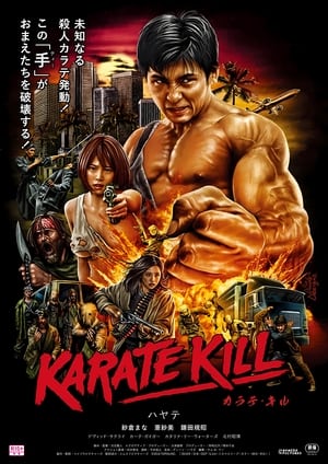 En dvd sur amazon KARATE KILL