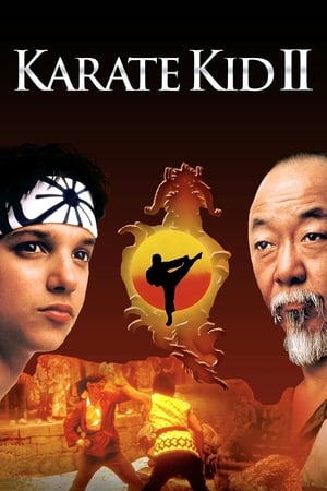 En dvd sur amazon The Karate Kid Part II