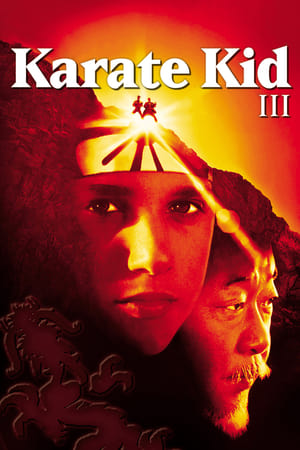 En dvd sur amazon The Karate Kid Part III