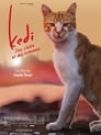 Kedi - Des chats et des hommes