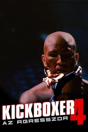 En dvd sur amazon Kickboxer 4: The Aggressor