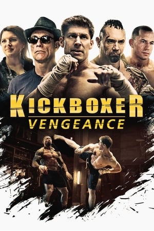 En dvd sur amazon Kickboxer: Vengeance