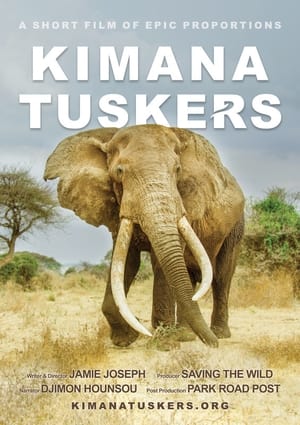 En dvd sur amazon Kimana Tuskers