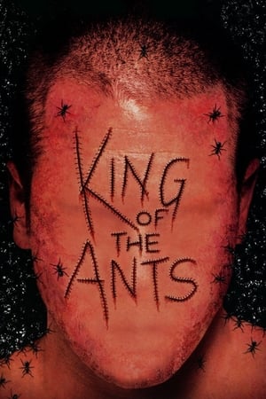 En dvd sur amazon King of the Ants