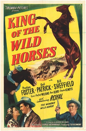 En dvd sur amazon King of the Wild Horses