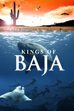 En dvd sur amazon Kings of Baja