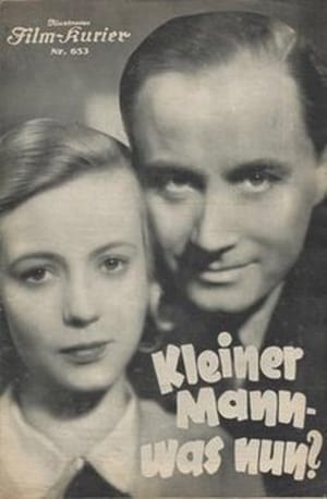 En dvd sur amazon Kleiner Mann – was nun?