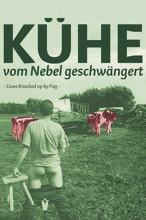 En dvd sur amazon Kühe, vom Nebel geschwängert
