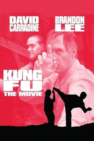 En dvd sur amazon Kung Fu The Movie