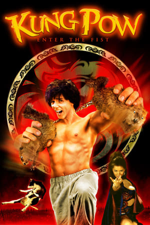 En dvd sur amazon Kung Pow: Enter the Fist