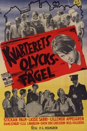 En dvd sur amazon Kvarterets olycksfågel