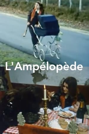 En dvd sur amazon L'Ampélopède