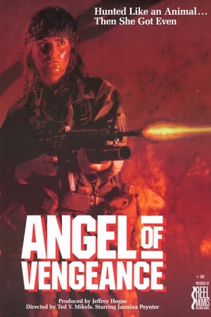En dvd sur amazon Angel of Vengeance