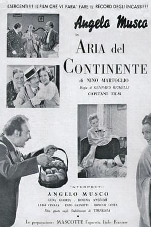 En dvd sur amazon L'aria del continente