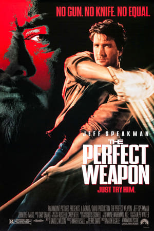 En dvd sur amazon The Perfect Weapon