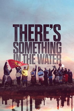 En dvd sur amazon There's Something in the Water