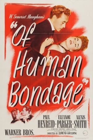 En dvd sur amazon Of Human Bondage