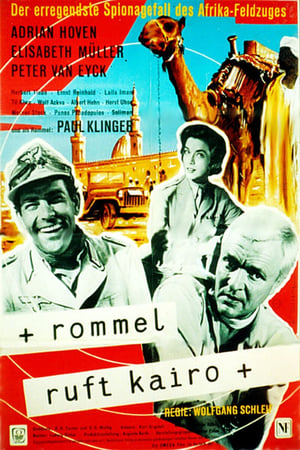 En dvd sur amazon Rommel ruft Kairo