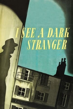 En dvd sur amazon I See a Dark Stranger