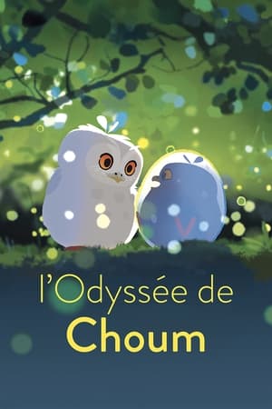 En dvd sur amazon L'Odyssée de Choum