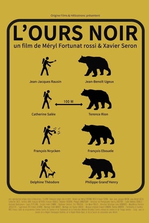 En dvd sur amazon L'ours noir