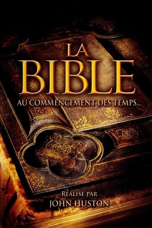 En dvd sur amazon The Bible: In the Beginning...