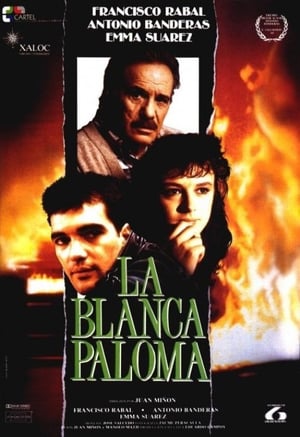 En dvd sur amazon La blanca paloma