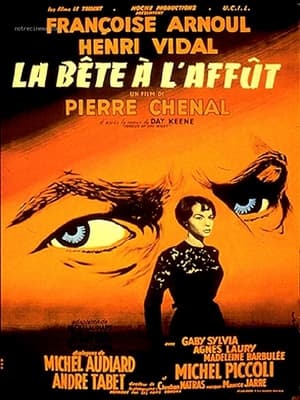 En dvd sur amazon La bête à l'affût