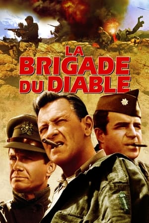 En dvd sur amazon The Devil's Brigade
