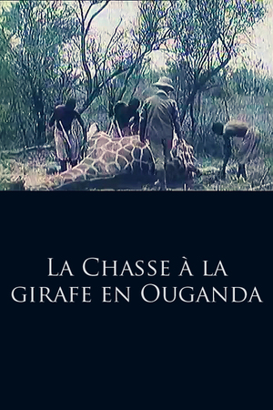 En dvd sur amazon La Chasse à la girafe en Ouganda
