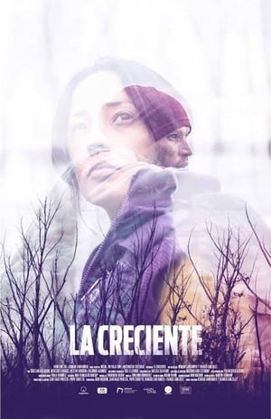 En dvd sur amazon La creciente