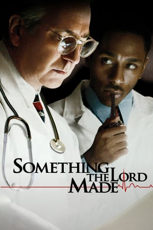 En dvd sur amazon Something the Lord Made