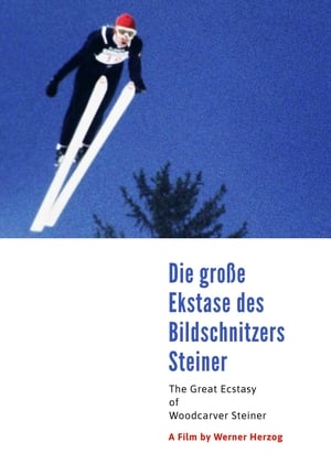 En dvd sur amazon Die große Ekstase des Bildschnitzers Steiner