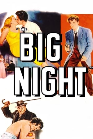 En dvd sur amazon The Big Night