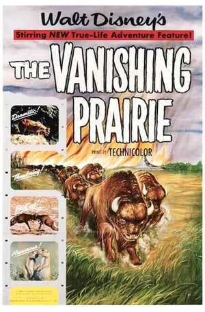 En dvd sur amazon The Vanishing Prairie