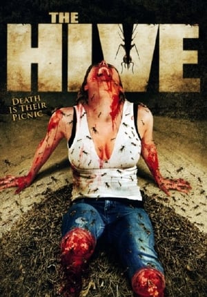 En dvd sur amazon The Hive