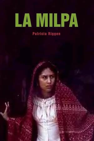 En dvd sur amazon La milpa