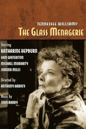 En dvd sur amazon The Glass Menagerie