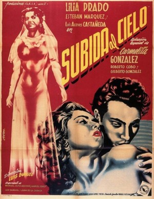 En dvd sur amazon Subida al cielo