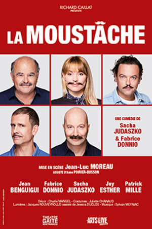 En dvd sur amazon La Moustache