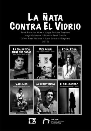 En dvd sur amazon La ñata contra el vidrio