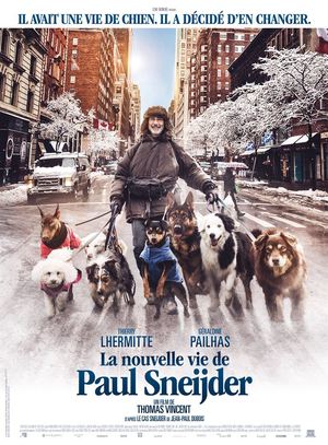 En dvd sur amazon La Nouvelle Vie de Paul Sneijder