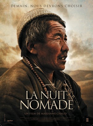 En dvd sur amazon La Nuit Nomade