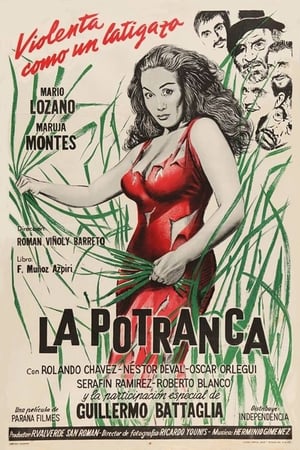 En dvd sur amazon La potranca